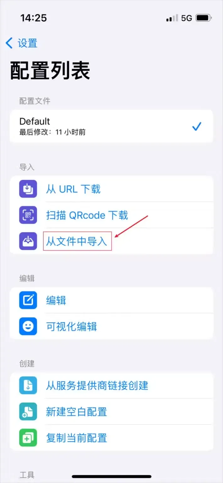 配置列表中从文件中导入被红框圈出，位于导入分组最后一行，上方的 Default 配置仍是勾选状态